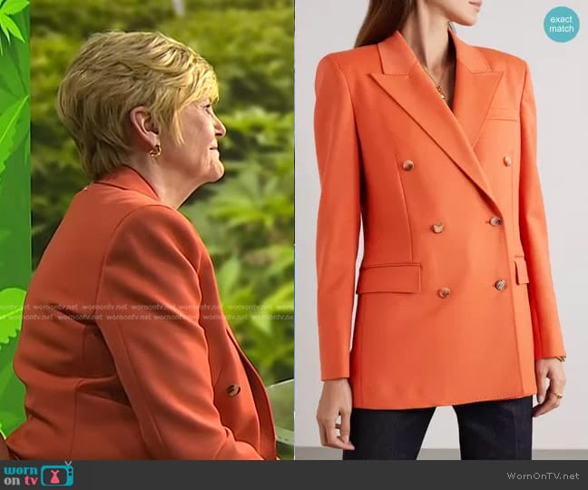 Gabriela Hearst Layne Double-Breasted Cashmere Blazer worn by Anne Thompson on NBC News Daily