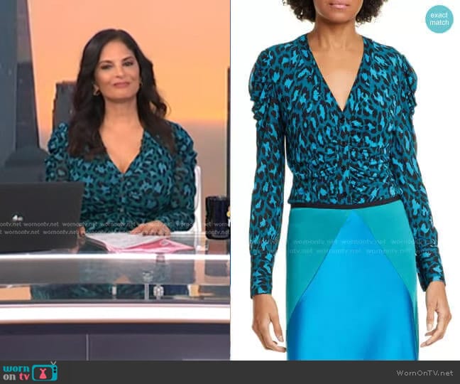 Diane von Furstenberg Gladys Ruched Sleeve Leopard Print Blouse worn by Darlene Rodriguez on Today