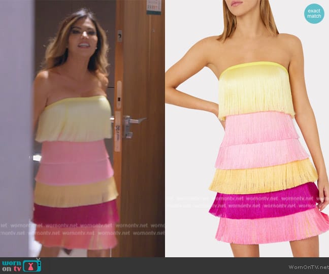 Milly Nuoir Ombre Fringe Dress worn by Adriana de Moura (Adriana de Moura) on The Real Housewives of Miami