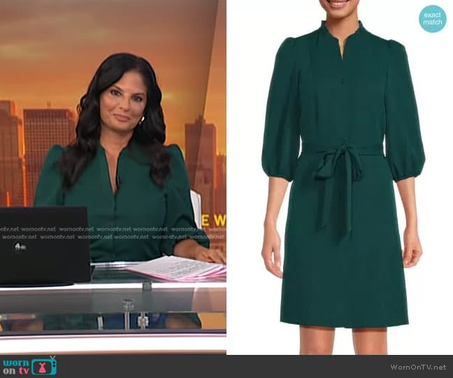 Nanette Lepore Puff Sleeve Knee Length Dress worn by Darlene Rodriguez on Today