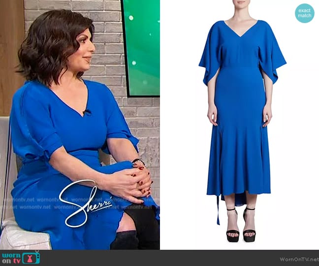 Victoria Beckham V-Neck Bias-Cut Godet Dress worn by Tamsen Fadal on Sherri