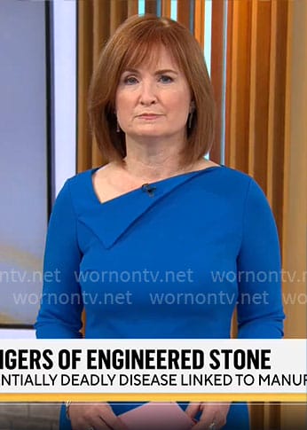 Anna Werner's blue folded neckline dress on CBS Mornings