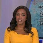 Brittany Bell’s yellow asymmetric neck dress on Good Morning America