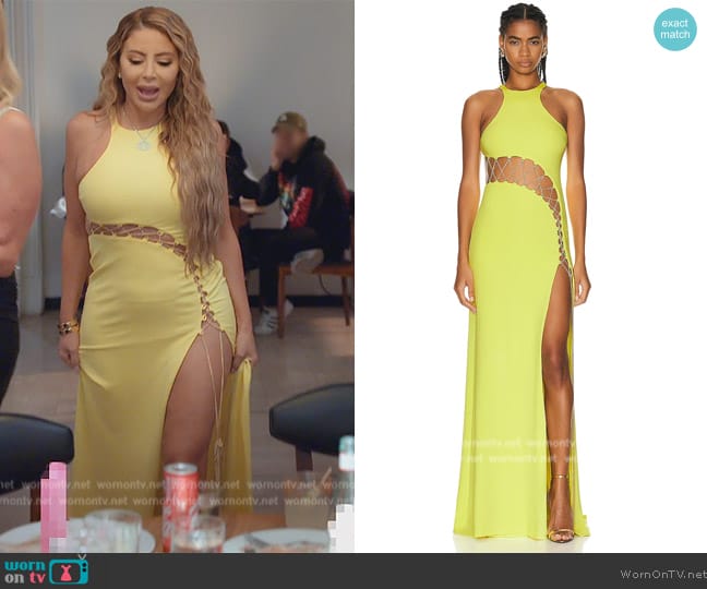 Dundas Ross Gown worn by Larsa Pippen (Larsa Pippen) on The Real Housewives of Miami