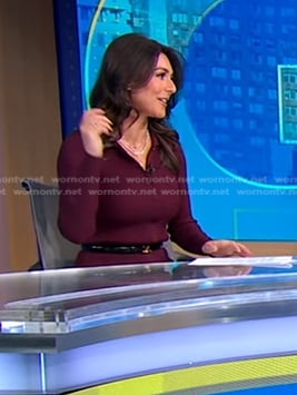 Erielle's burgundy ribbed button front dress on Good Morning America