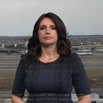 Maria’s grey plaid dress on Today