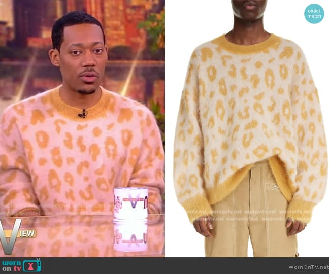 Isabel Marant Tevy Super Kid Mohair Blend Sweater worn by Tyler James Williams on The View