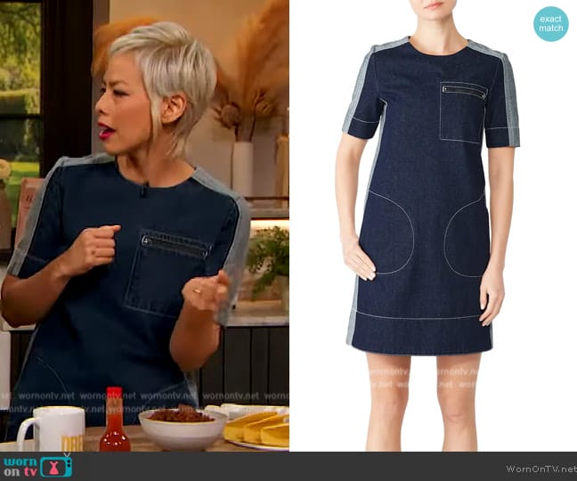 Marni Two Tone Denim Shift worn by Pilar Valdes on The Drew Barrymore Show