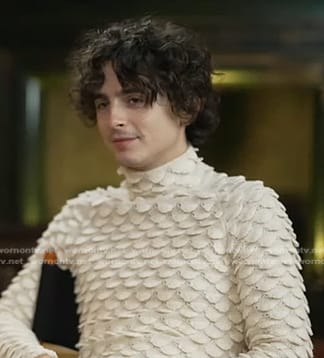 Timothee Chalamet's ivroy fish scale sweater on Good Morning America