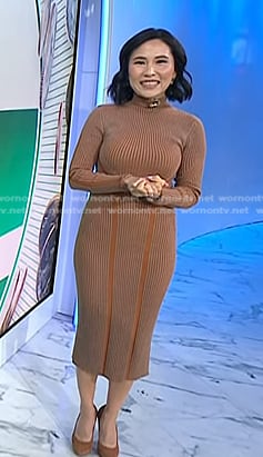 Vicky's brown ribbed mock neck dress on Today