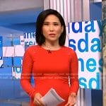 Vicky’s red striped sleeve dress on NBC News Daily