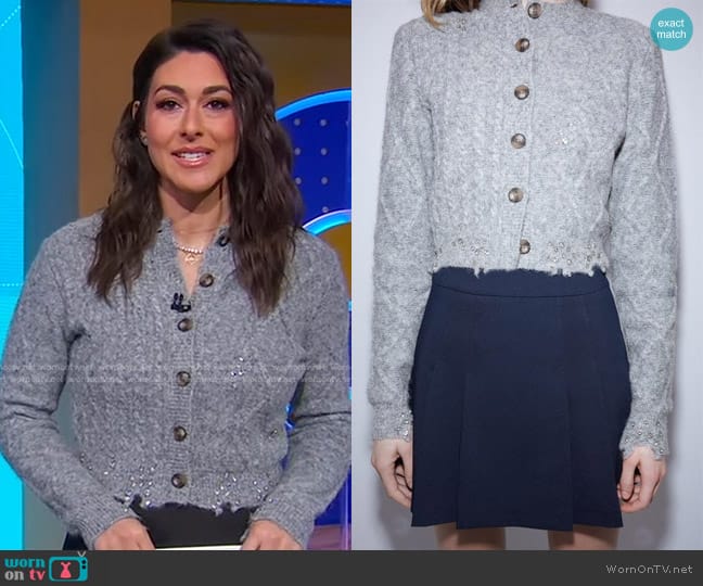 Zara Knit Cardigan with Rhinestone Buttons in Grey worn by Erielle Reshef on Good Morning America