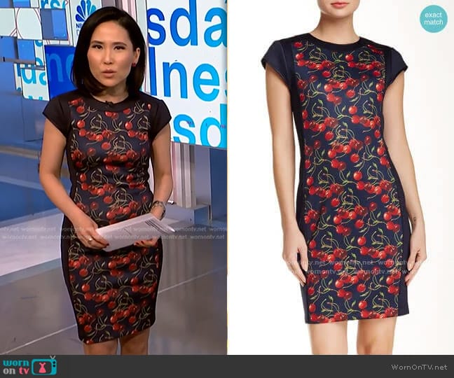 Ted Baker Luski Printed Bodycon Dress worn by Vicky Nguyen on NBC News Daily