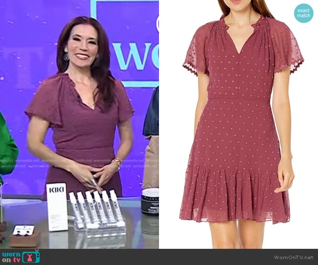 Rebecca Taylor Short Sleeve Dot Embroidery Dress worn by Amy E. Goodman on Today