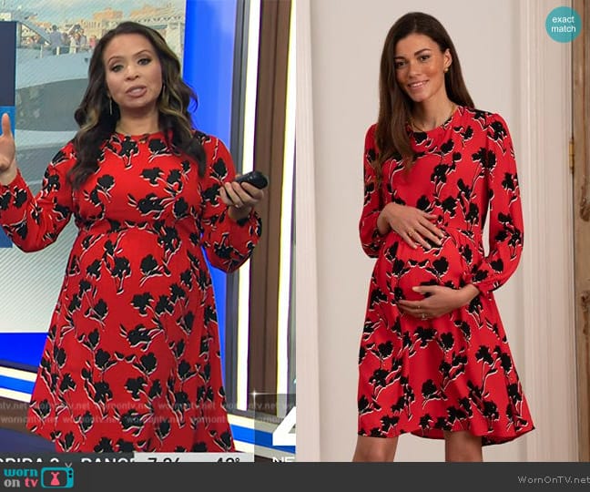 Seraphine Red Floral Tiered Maternity & Nursing Dress worn by Adelle Caballero on Today