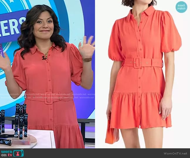 Walter Baker Tyanna Belted Linen Blend Mini Shirtdress worn by Adrianna Barrionuevo Brach on Today