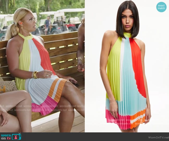 Alice + Olivia Aviana Halterneck Sunburst Pleated Mini Dress worn by Gizelle Bryant on The Real Housewives of Potomac