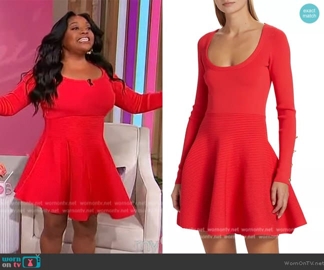 Cara Cara Lisha Knit Fit & Flare Minidress worn by Sherri Shepherd on Sherri