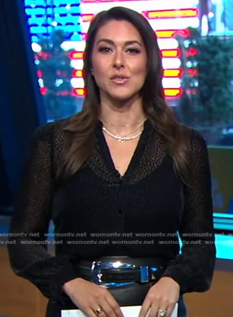 Erielle's black dotted mesh blouse on Good Morning America