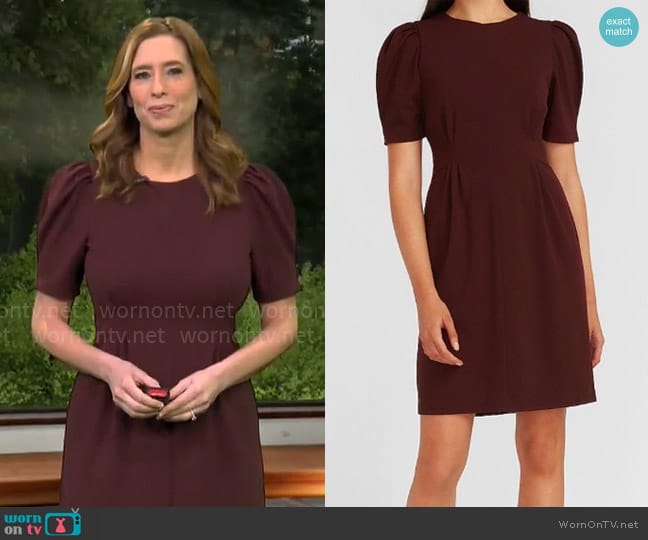 Express Puff Sleeve Dress worn by Stephanie Abrams on CBS Mornings