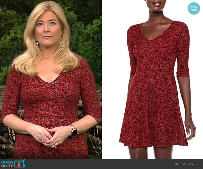 Lark & Ro Printed Fit and Flare Dress worn by Kelly Cass on CBS Mornings