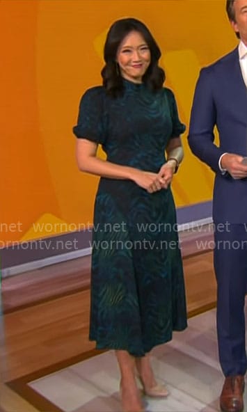 Nancy Chen’s blue and green animal print midi dress on CBS Mornings