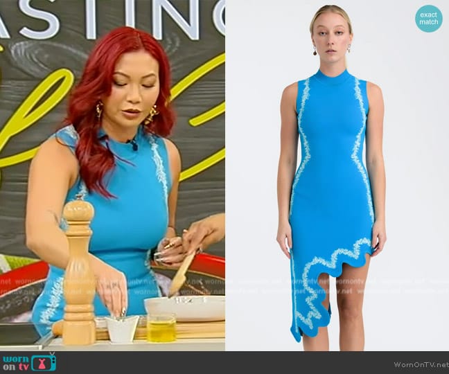 PH5 Mia Signature Wavy Dress worn by Cassie Yeung on Tamron Hall Show