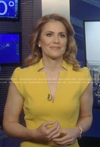 Raegan Medgie’s yellow cap sleeve dress on Good Morning America