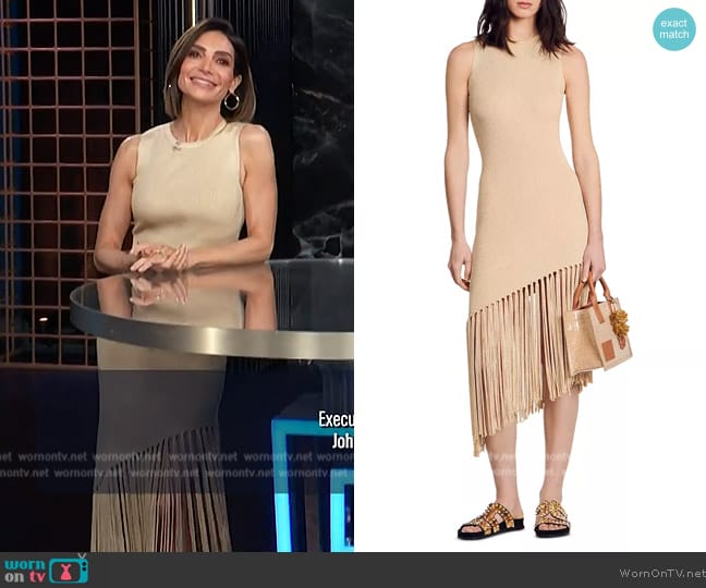 Sandro Hantas Knit Fringe Dress worn by Courtney Lopez on E! News