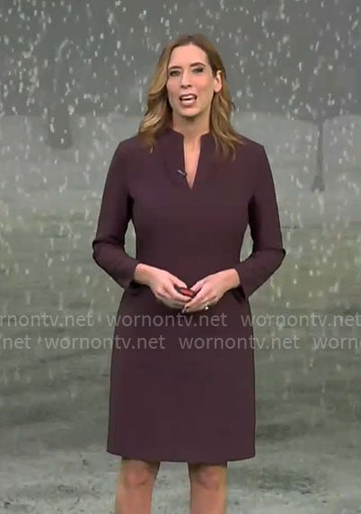 Stephanie Abram's dark purple split-neck dress on CBS Mornings