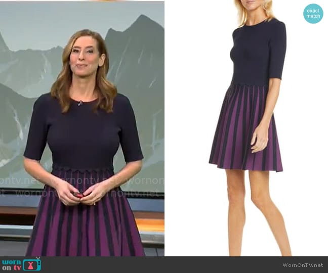 Ted Baker Salyee Dress worn by Stephanie Abrams on CBS Mornings