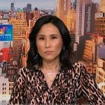 Vicky’s leopard shirtdress on NBC News Daily