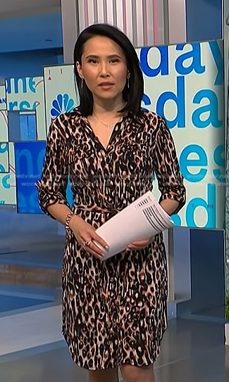 Vicky's leopard shirtdress on NBC News Daily