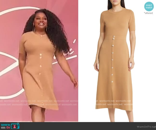 Zoe and Claire Midi Sweater Dress worn by Sherri Shepherd on Sherri