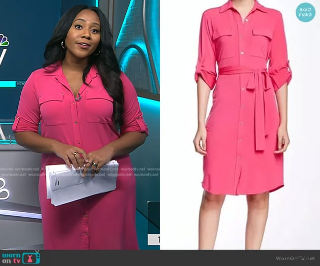 Calvin Klein Roll Tab Sleeve Shirtdress worn by Kay Angrum on NBC News Daily