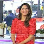 D’Arcy Carden’s red polka dot ruched dress on Today