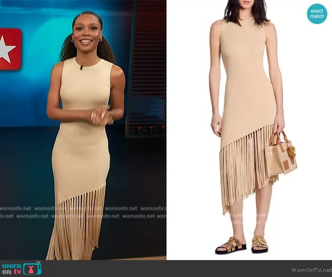 Sandro Hantas Knit Fringe Dress worn by Zuri Hall on Access Hollywood