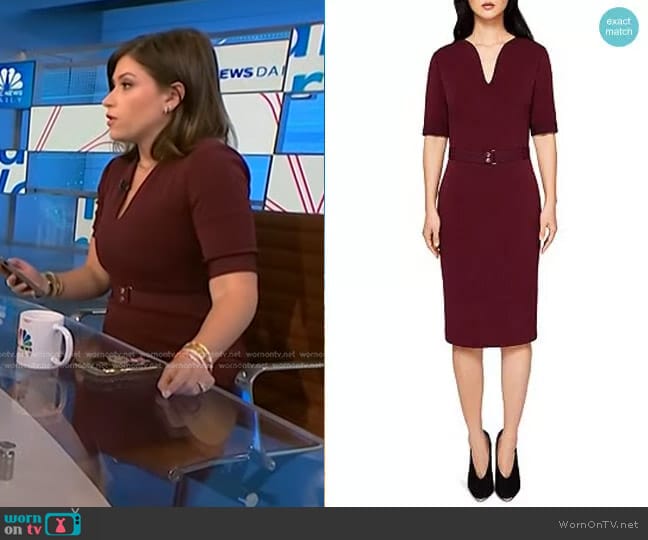 Ted Baker Jesabil Dress worn by Chloe Melas on NBC News Daily