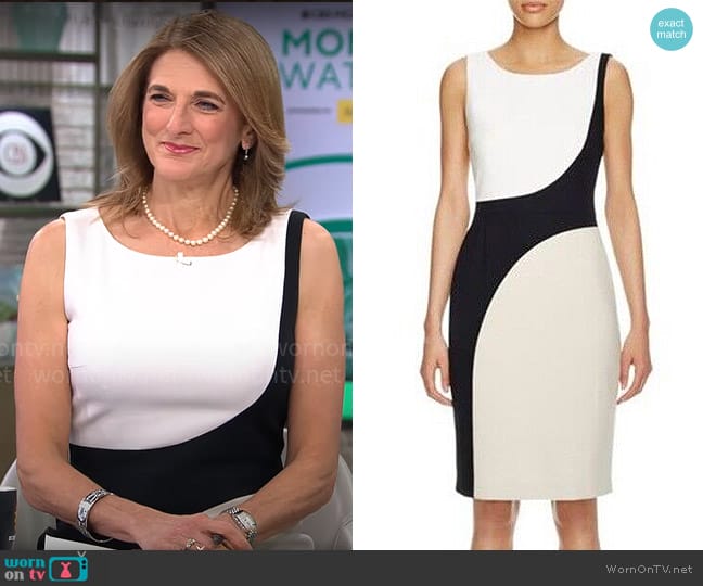 BOSS Dikrysa Dress worn by Jill Schlesinger on CBS Mornings