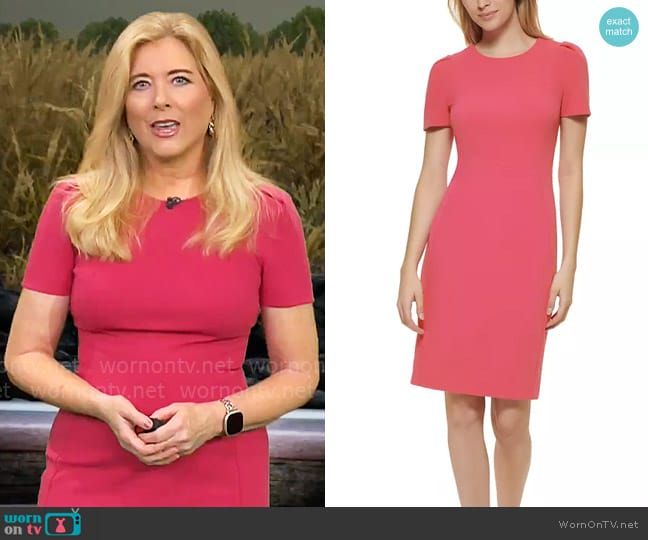 Calvin Klein Short-Sleeve Sheath Dress in Rosebud worn by Kelly Cass on CBS Mornings