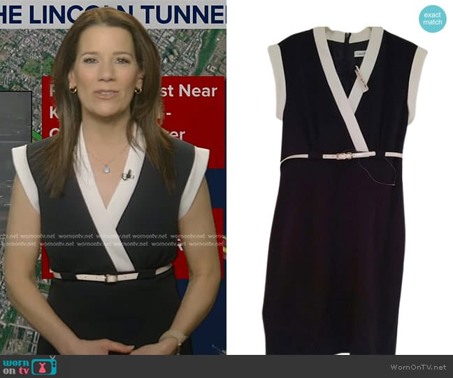 Calvin Klein Classic Sheath Dress worn by Heather O’Rourke on Good Morning America