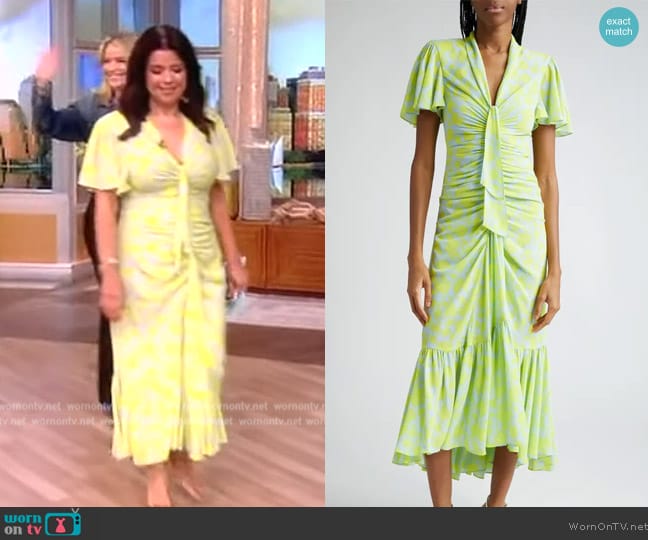 Cinq a Sept Graphic Floral Peeta Dress worn by Ana Navarro on The View