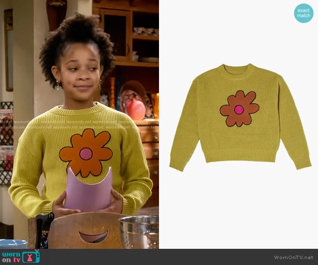 Forever 21 Girls Flower Graphic Sweater  worn by Maya Upshaw (Journey Christine) on The Upshaws