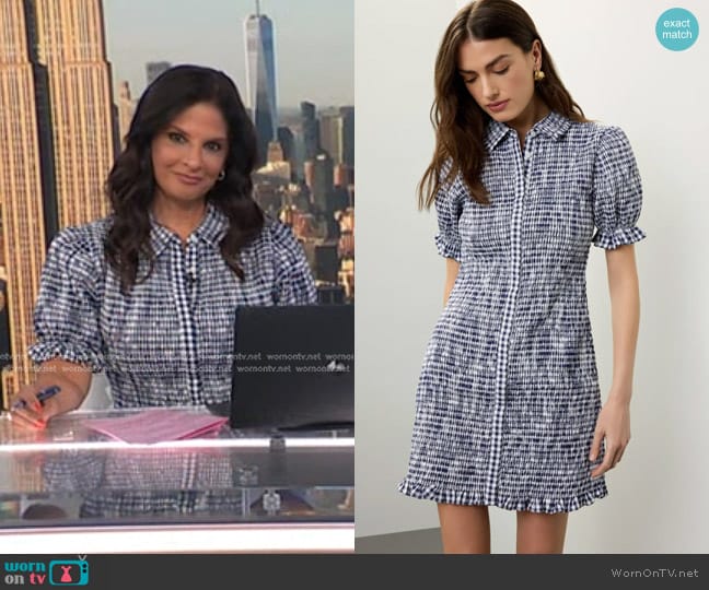 Jason Wu Collective Smocked Gingham Dress worn by Darlene Rodriguez on Today