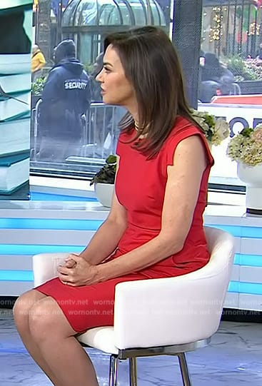 Jennifer Breheny Wallace's red cap sleeve sheath dress on Today