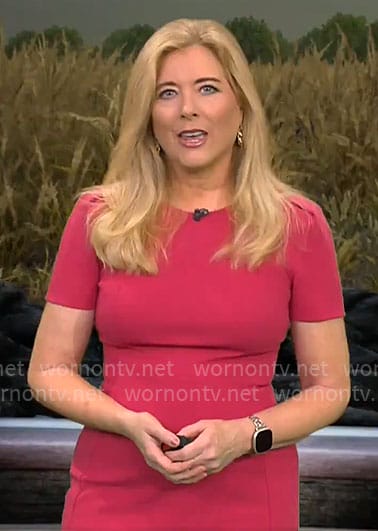 Kelly Cass' pink short sleeve dress on CBS Mornings