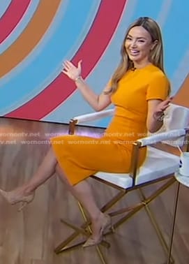 Nicole Lapin's orange sheath dress on Good Morning America