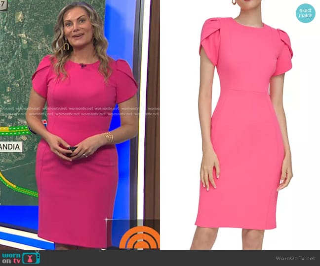 Calvin Klein Tulip-Sleeve Sheath Dress in Rosebud worn by Emily West on Today