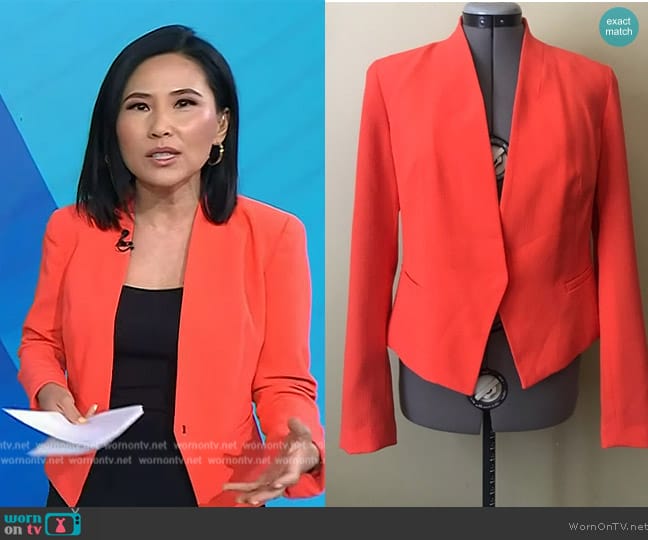 Rachel Rachel Roy Orange Blazer worn by Vicky Nguyen on Today