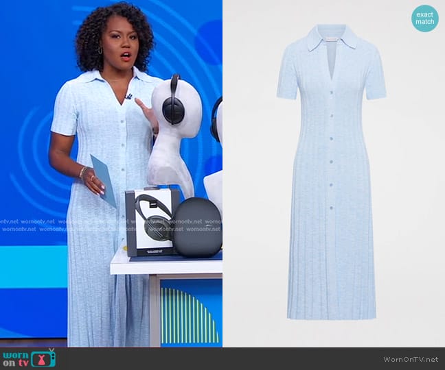 Scanlan Theodore Pleated Rib Placket Dress in Pale Blue worn by Janai Norman on Good Morning America